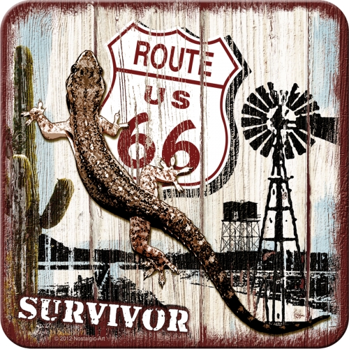 Route 66 Desert Survivor