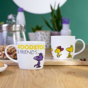 15143_Tasse_Peanuts_Woodstock_300ml_A4_1300px