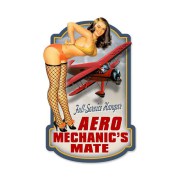 aero1