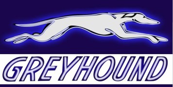 greyhound